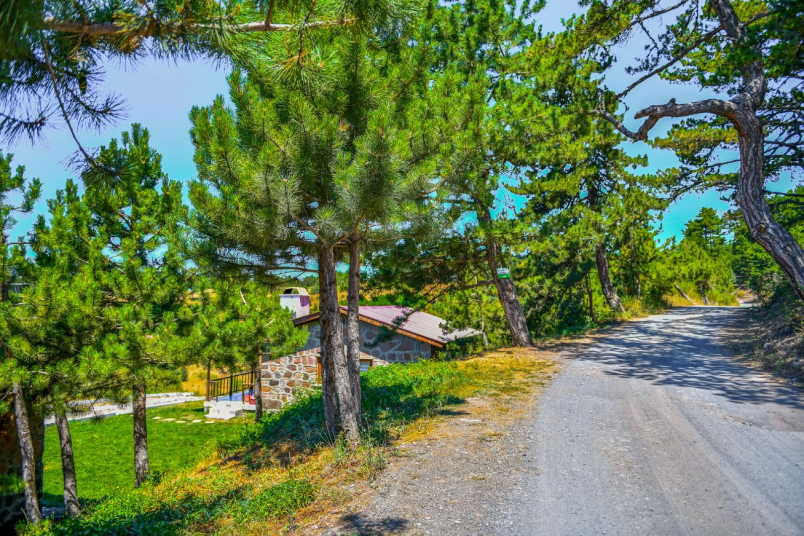 Karagöl Tabiat Parkı - 11