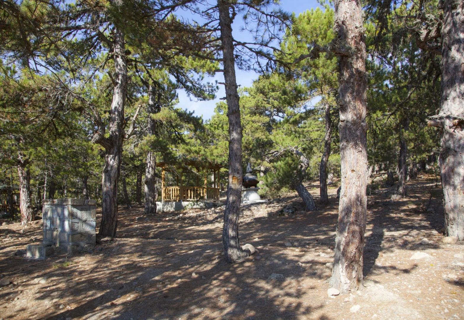 Tekke Yaylası Tabiat Parkı - 4