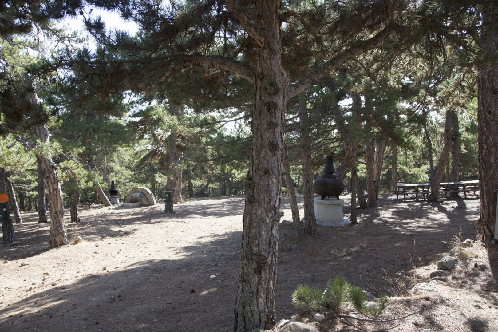 Tekke Yaylası Tabiat Parkı - 2